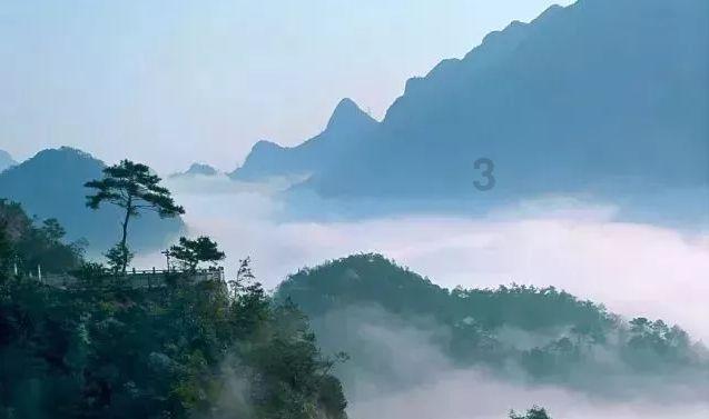 动物帮帮忙保卫家园