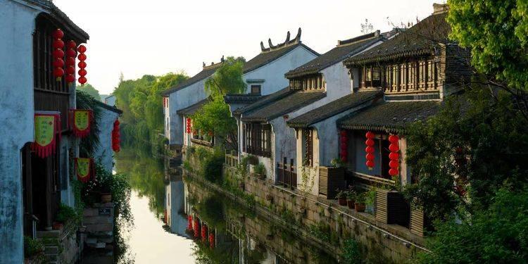 动物帮帮忙保卫家园